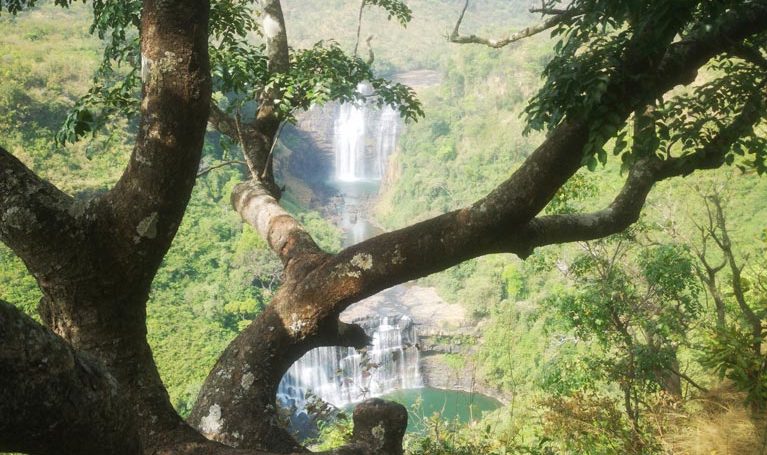 viaggi-in-guinea-transafrica-paesaggio-alberi-cascata
