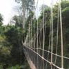 transafrica-articolo-ghana-escursioni-camminate-ponte