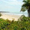 transafrica-senegal-spiaggia-vegetazione