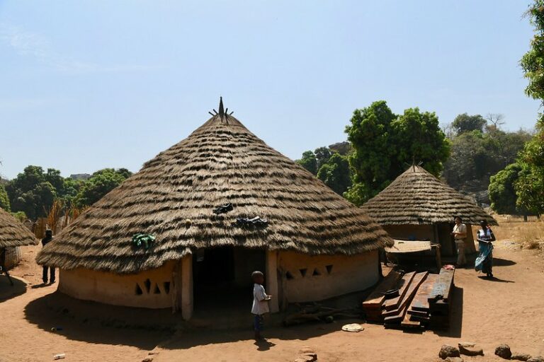 Republic of Guinea | TransAfrica