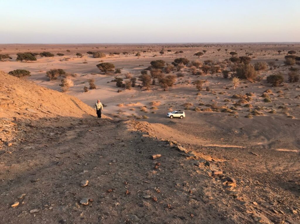 2024 WESTERN SAHARA 11 Days Morocco TransAfrica   Desert Dunes Sahara Morocco Transafrica 1024x766 